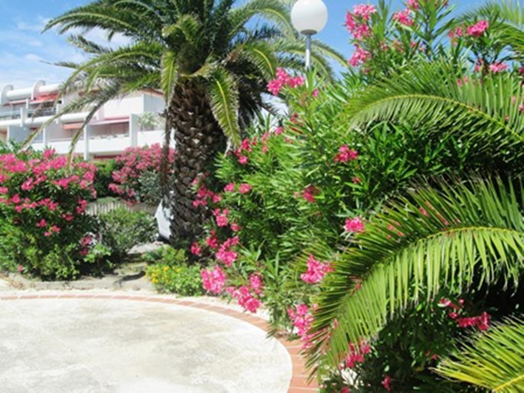 Vittoria Immobilier 12 -Reglement Sur Place - Cheques Vacances Acceptes Λα Γκραντ-Μοτ Εξωτερικό φωτογραφία